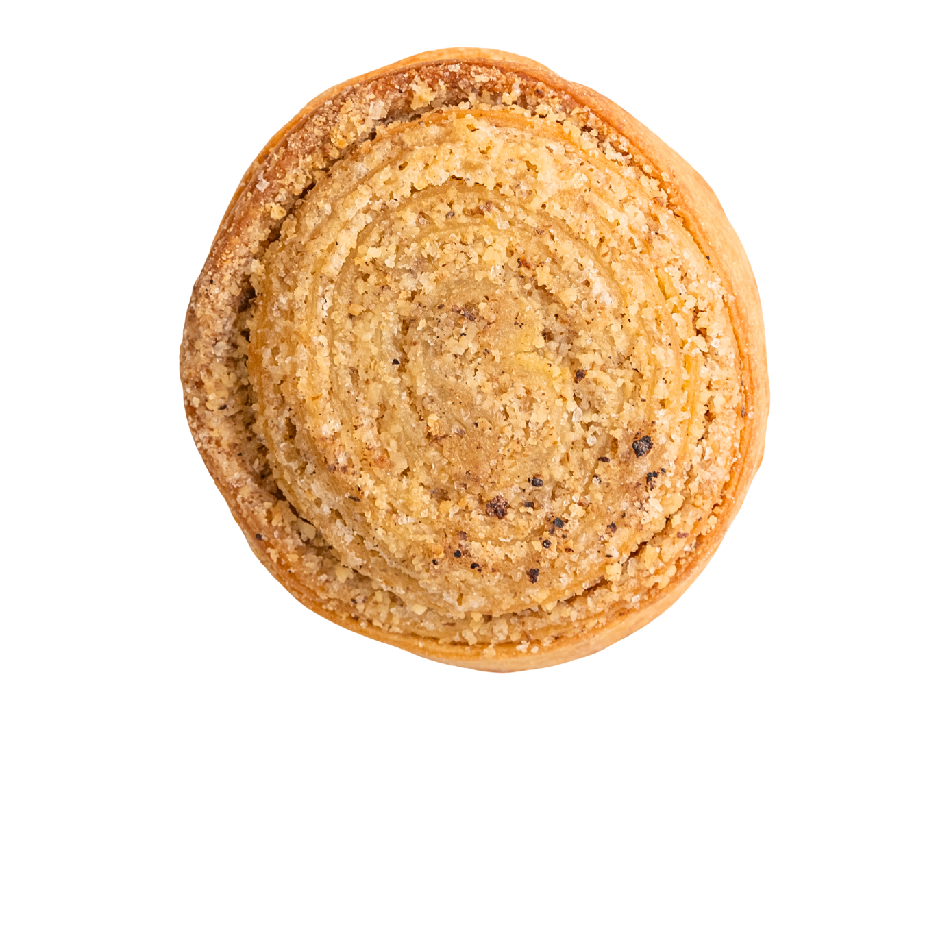 Diós csiga (100-120g)